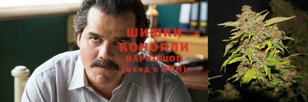 крисы Белоозёрский