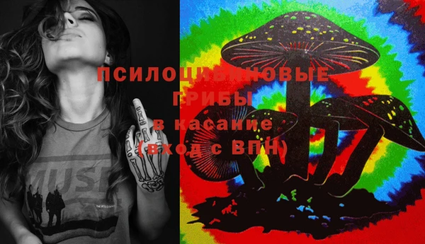 крисы Белоозёрский